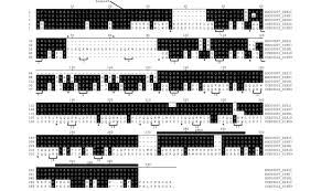 Pslme.com is ranked 5,252,623rd in the world (among the 30 million domains). Comparison Of The Polypeptides Encoded By Five Novel Full Length Download Scientific Diagram
