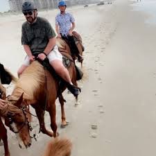 Stan was a great guide and the horses we rode were very gentle. Happy Trails Walking Horses 29 Photos 20 Reviews Horseback Riding 1974 Peters Point Rd Fernandina Beach Fl Phone Number