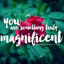 Know that you are unique and magnificent. Truly Magnificent Word Porn Quotes Love Quotes Life Quotes Inspirational Quotes