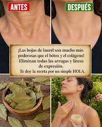Las hojas de laurel son mucho más poderosas que el bótox y el colágeno!  Eliminan todas las arrugas y líneas de expresión. Necesito que digas algo  para que sigas recibiendo mis