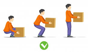 Carry | Free Vectors, Stock Photos & PSD