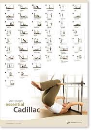 buy stott pilates wall chart essential cadillac in cheap