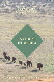 It all depends on what sort of safari you want and can afford. Kenia Safari Im Tsavo East Nationalpark The Big Five