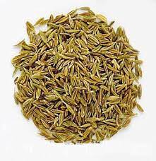 Fennel (foeniculum vulgare) is a flowering plant species in the carrot family. Cumin Seed Fennel Seed Nigella Seed And Purple Fleebane Effective Remedies For Gastric Problem Nigella Seeds Fennel Seeds Cumin Seed