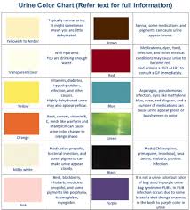 Urine Color Chart And Meaning Urine Colour Charts