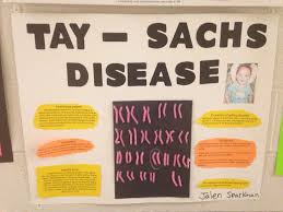 Genetic Disorder Projects Genetic Disorders Textbook Genetics