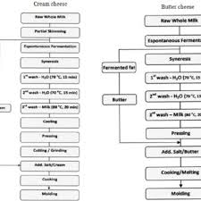 Production Flow Chart Of Artisanal Marajo Cream Cheese Type