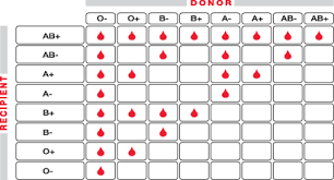 Blood Type Chart Donor And Recipient Blood Type And Donor Chart