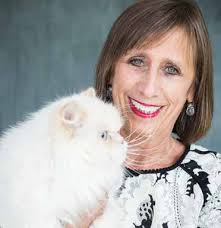 COLLABORATION INTEGRITY POSITIVITY SERVICE EXCELLENCE COMPASSION  COLLABORATION INTEGRITY POSITIVITY SERVICE EXCELLEN S