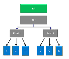 Limited Partners Lp Vs General Partners Gp In Private Equity