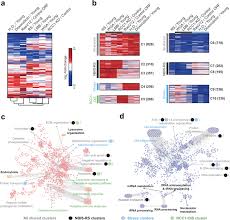 We did not find results for: Disruption Of Nucleocytoplasmic Trafficking As A Cellular Senescence Driver Experimental Molecular Medicine