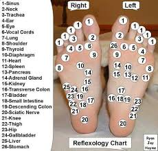 Smile O Meter Reflexology Chart Acupressure Points