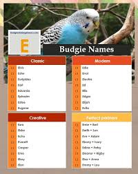 Name Birds That Start With F Excellent E Bird Names Budgie Names Budgies Bird