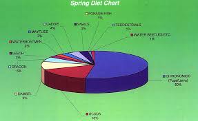 Seasonal Diet Charts For Fly Fishing Trout