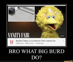 Who is big bird's best friend? Big Bird Takes A Lie Detector Test I Vanity Fair Vanity Fair 568k Views 1 Week Ago Bro What Big Burd Do Ifunny