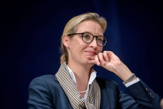 German far-right leader Weidel files lawsuit against journalist – POLITICO