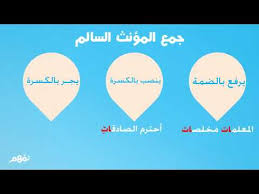 جمع المذكر السالم اللغة العربية الصف الرابع الابتدائي الترم الثانى المنهج السعودي نفهم Youtube