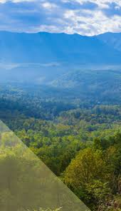 We did not find results for: Crossville Inc Tile Sustainability