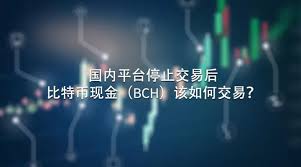 Å½åå¹³å°åæ­¢äº¤æå Æ¯ç¹å¸ç°é Bch È¯¥å¦ä½äº¤æ Ç¥ä¹