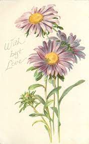 With Best Love Purple Daisies With Yellow Centers Tuckdb Botanical Drawings Flower Drawing Flower Painting
