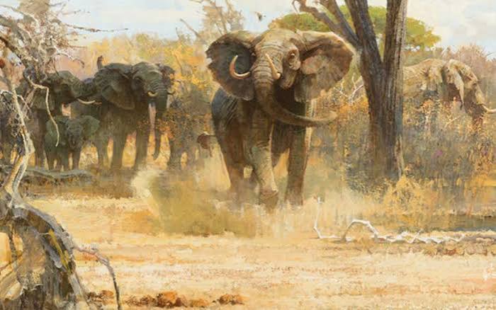 Death by Ivory - Sporting Classics Daily