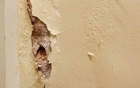 Comment Isoler Un Mur Humide Isolation Mur Comment Isoler Un Mur Humidite Mur