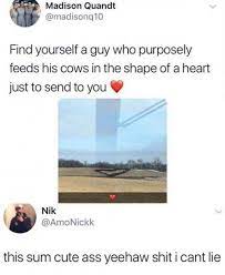 The best gifs are on giphy. 17 People Who Have Definitely Found Their One True Soulmate In Life Life Humor Funny Babies Love Memes