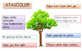 3 Sinif Deyimler Ve Atasozleri Ozdeyisler Konu Anlatimi Hangisoru Com