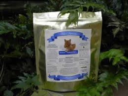 Age increases your cat's risk for kidney disease, but his risk is particularly high after the age of 9 years. Feline Instincts Crf My Natural Kidney Support Diet Premix