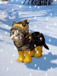 Wähle einfach das gewünschte bild aus der kategorie bilder guten morgen im schnee und klicke auf einen der darunter angezeigten codes. Dreamies De Inuwfgzy8vx Gif Weihnachtskatzen Susse Tiere Katze Weihnachten