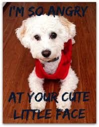 Anger is an emotion, too