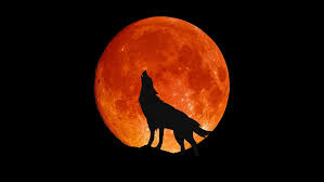 The Sky Tonight: Full Wolf Moon | Louisiana Art & Science Museum