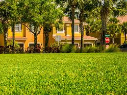 Maybe you would like to learn more about one of these? Sod Installation Greenscapes Of Southwest Florida Inc