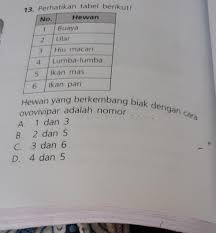 Hewan yang berkembang biak dengan cara bertelur adalah brainly. Hewan Yang Berkembang Biak Dengan Cara Ovovivipar Adalah Nomor A 1 Dan 3b 2 Dan 5c 3 Dan Brainly Co Id
