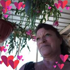 Where to find a free or cheap dog stroller in Mandurah?