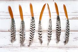 Black And White Striped Bird Feather Lady Amherst Pheasant Tail Feathers Black White Striped Red Orange Tipped 10 12 By Theartofregressing On Etsy Tail Feathers Feather Black White Stripes