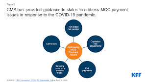 A managed care organization (mco) is a health care provider or a group or organization of medical service providers who offers managed care health plans. 10 Things To Know About Medicaid Managed Care Kff