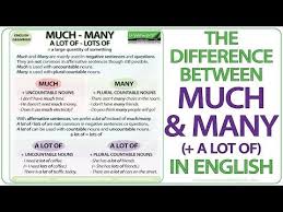 Much Many A Little A Few A Lot Of Much Many Lot Few Little Difference Quantifiers English Grammar Rules English Grammar Grammar Lessons Grammar