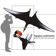 Image result for Arthropteris anniana