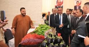اليوم السابع - News update