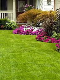 Follow our expert advice on keeping lawn grass in peak condition. Home Columbus Landscaping Company Landscaper And Lawn Care Services