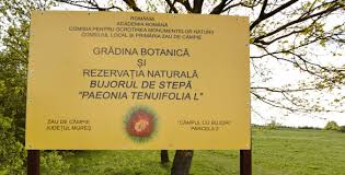 Station, la gaude on tripadvisor: Vremea Zau De Campie Accuweather