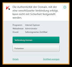 Prufung Der Sicheren Verbindungen Im Kaspersky Internet Security Nickit