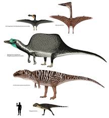 Rugops Primus First Wrinkle Face Abelisaurid Species Known From The Echkar Formation Of Niger From A Partia Extinct Animals Spinosaurus Prehistoric Animals