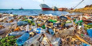 You also receive two cotton cleaning brushes and a pouch to store all the items. 19 Aquariums Pledge To Fight Plastic Pollution Ban Single Use Plastic Bags And Straws Ecowatch