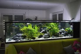 New Die 10 Besten Wohnaccessoires Mit Bildern Imaginationskraft In Luxus Aquarium Gestalten Aquarienfische Planted Aquarium
