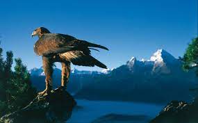 The most popular gateway into the national park for tourists is by walking the famous wimbachklaam. Der Nationalpark Berchtesgaden Natur Erleben