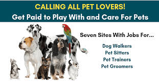 Get Paid To Play With And Care For Pets Real Work From Home Jobs By Rat Race Rebellion Pets Pet Care Jobs Pet Sitting Jobs
