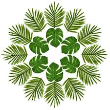 Find and save images from the decoraciones de hojas collection by katoka∞† (jankielrodriguez0) on we heart it, your everyday app to get lost in what you love. Fiestas Y Ocasiones Especiales Hojas De Palma Tropical Planta Artificial Simulacion Hoja Hawaiano Fiesta Decoraciones Casa Jardin Y Bricolaje Networktechnologyacademy Org