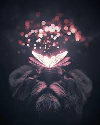 Imaginative Universe Imaginative Universe Foto I Video V Instagram Animal Wallpaper Animals Beautiful Animals